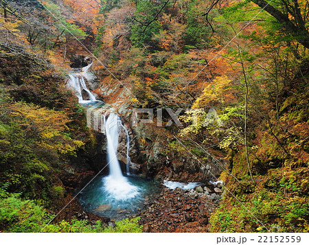 紅葉の七ツ釜五段の滝 紅葉の七ツ釜五段の滝 22152559