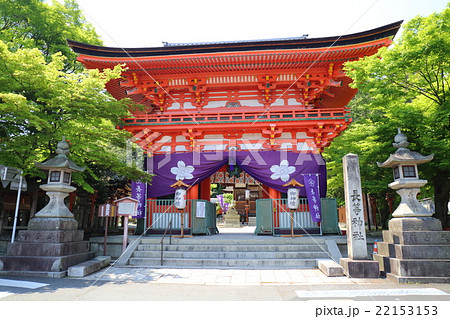 滋賀　長等神社 22153153