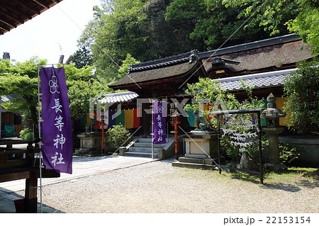 滋賀　長等神社 22153154