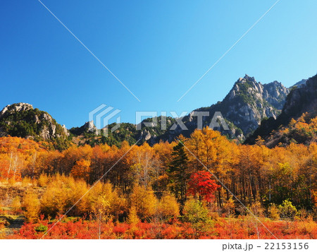 紅葉の瑞牆山の写真素材