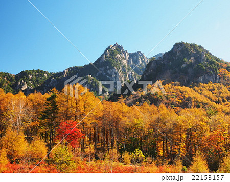 紅葉の瑞牆山の写真素材