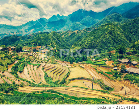 Rice field terraces. Near Sapa, Mui Ne Rice field terraces. Near Sapa, Mui Ne 22154131