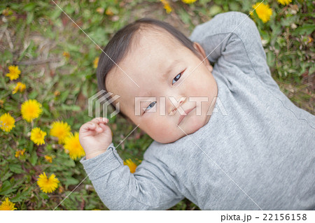 8 months old 8 months old 22156158