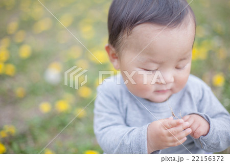 8 months old 8 months old 22156372
