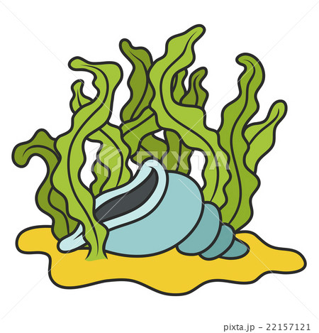 shell in algae 22157121