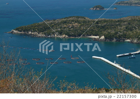 御番所公園から観る鮎川 御番所公園から観る鮎川 22157300