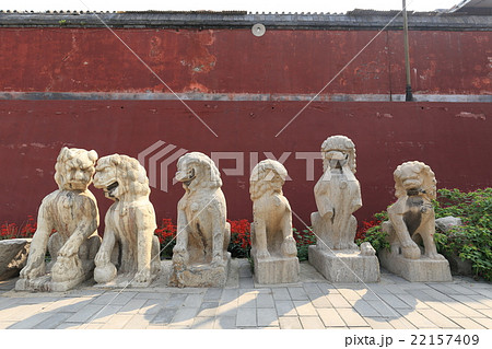 中国　正定県　開元寺　石獅子 22157409