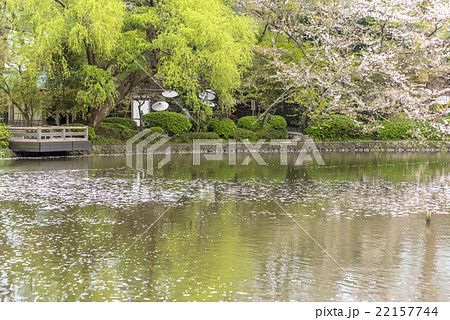 pond at Kamakura 22157744
