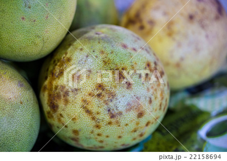 Surface pomelo 22158694
