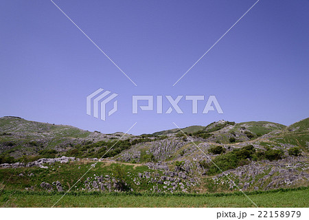 初夏の平尾台 22158979