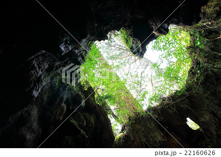 屋久島　ウィルソン株　ハートに見える内部　① 22160626