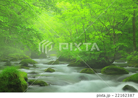 奥入瀬渓流 22162387