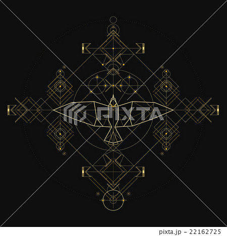 Top view of bird triangular icon .のイラスト素材 [22162725] - PIXTA