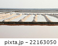 Salt field at Samut Sakhon, Thailand 22163050