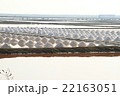 Salt field at Samut Sakhon, Thailand 22163051