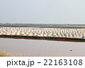 Salt field at Samut Sakhon, Thailand 22163108