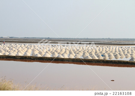 Salt field at Samut Sakhon, Thailand 22163108