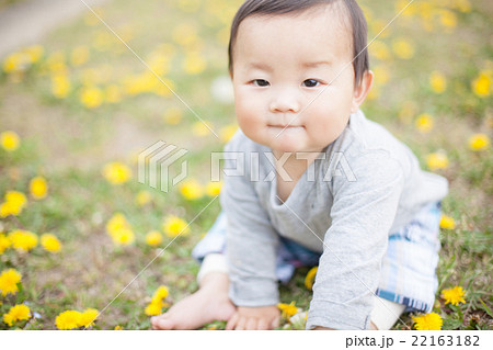 8 months old 8 months old 22163182