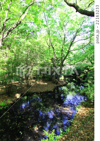 平山城址公園 22163233