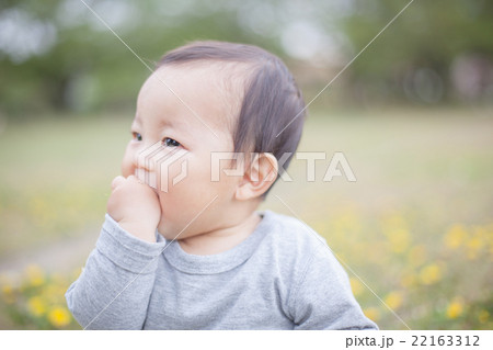 8 months old 22163312