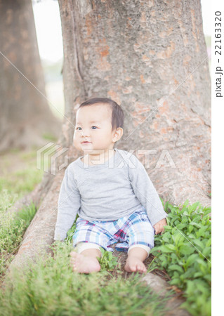 8 months old 22163320