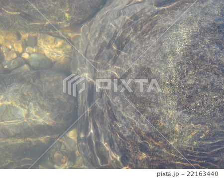鮎の食み跡 22163440
