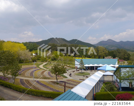 南八ヶ岳花の森公園 22163564