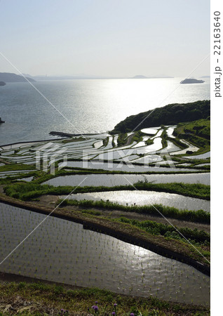 風景 風景 22163640