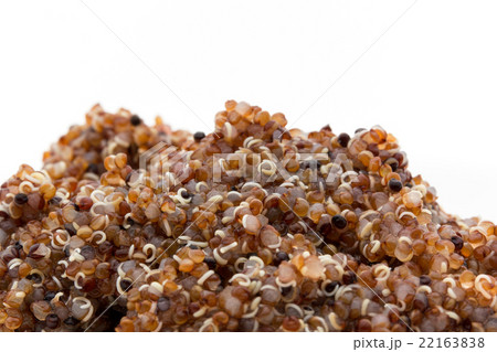 茹でたカニワ:cooked kañiwa (baby quinoa) 22163838