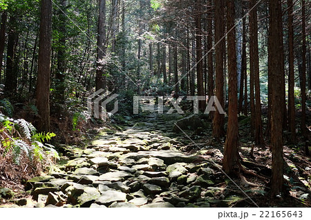 熊野古道　馬越峠 22165643