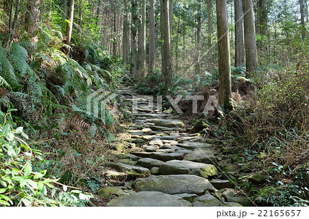 熊野古道 馬越峠 熊野古道 馬越峠 22165657