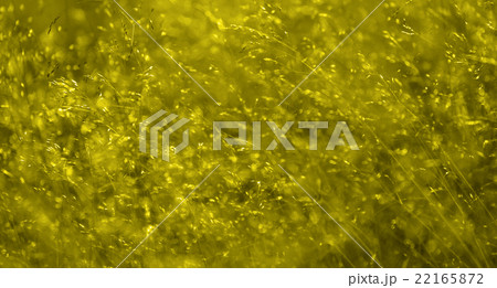 Spring, herbal fon. Spring, herbal fon. 22165872