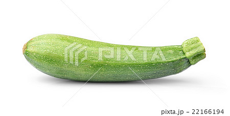 fresh vegetable zucchini  22166194