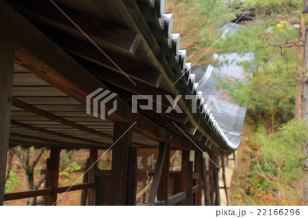 春雨の高台寺 春雨の高台寺 22166296