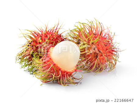 Fresh rambutan sweet delicious fruit   22166647