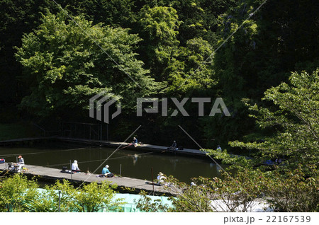 自然の中の釣り池 自然の中の釣り池 22167539