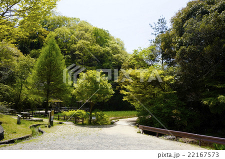 新緑の私市ハイキングコース 22167573