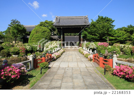 つつじのお寺 つつじのお寺 22168353
