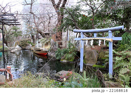 愛宕神社の池（東京） 22168618