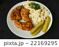 schnitzel and egg salad 22169295
