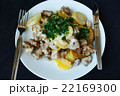 Baked potatoes, pork with cream view 22169300