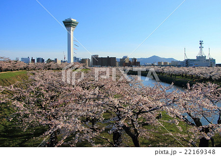 函館・五稜郭公園 お花見＜桜満開＞ 22169348
