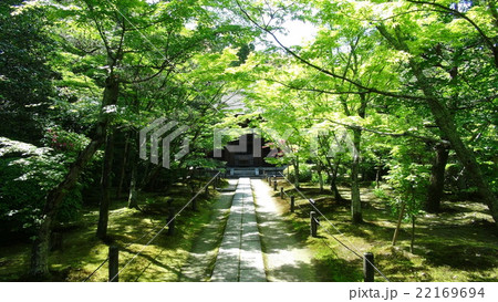 酬恩庵（一休寺）本堂への参道 22169694