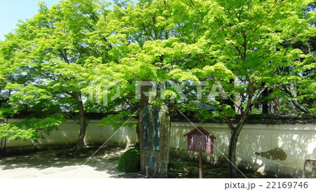 酬恩庵（一休寺）墨蹟碑 22169746