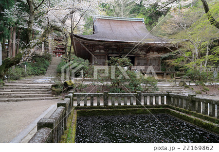 春の室生寺「本堂(灌頂堂)」と堀と「五重塔」 春の室生寺「本堂(灌頂堂)」と堀と「五重塔」 22169862