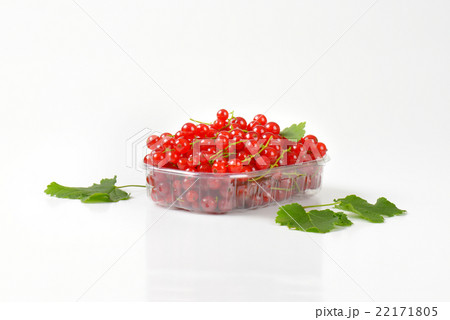 Fresh red currants 22171805