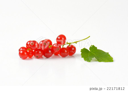 Fresh red currants 22171812