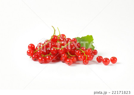Sprigs of red currant berries 22171823