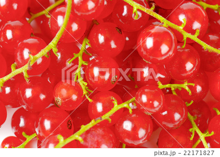 Red currant berries 22171827