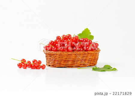 Fresh picked red currants 22171829